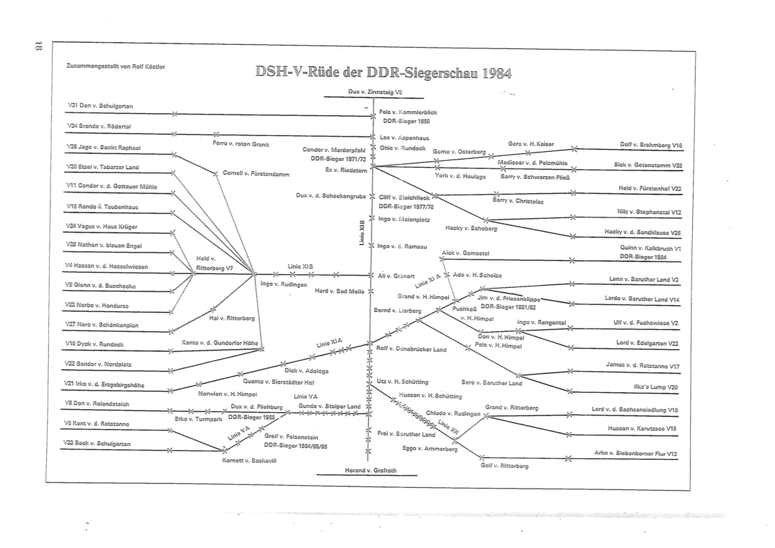 DDR Zuchtrüden 1984