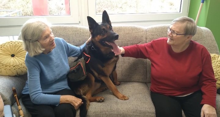 Willow mit Bewohnern im Pflegeheim